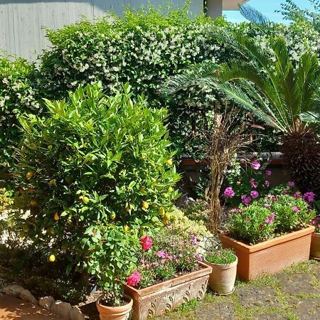فورميا B&B Villa Noemi المظهر الخارجي الصورة