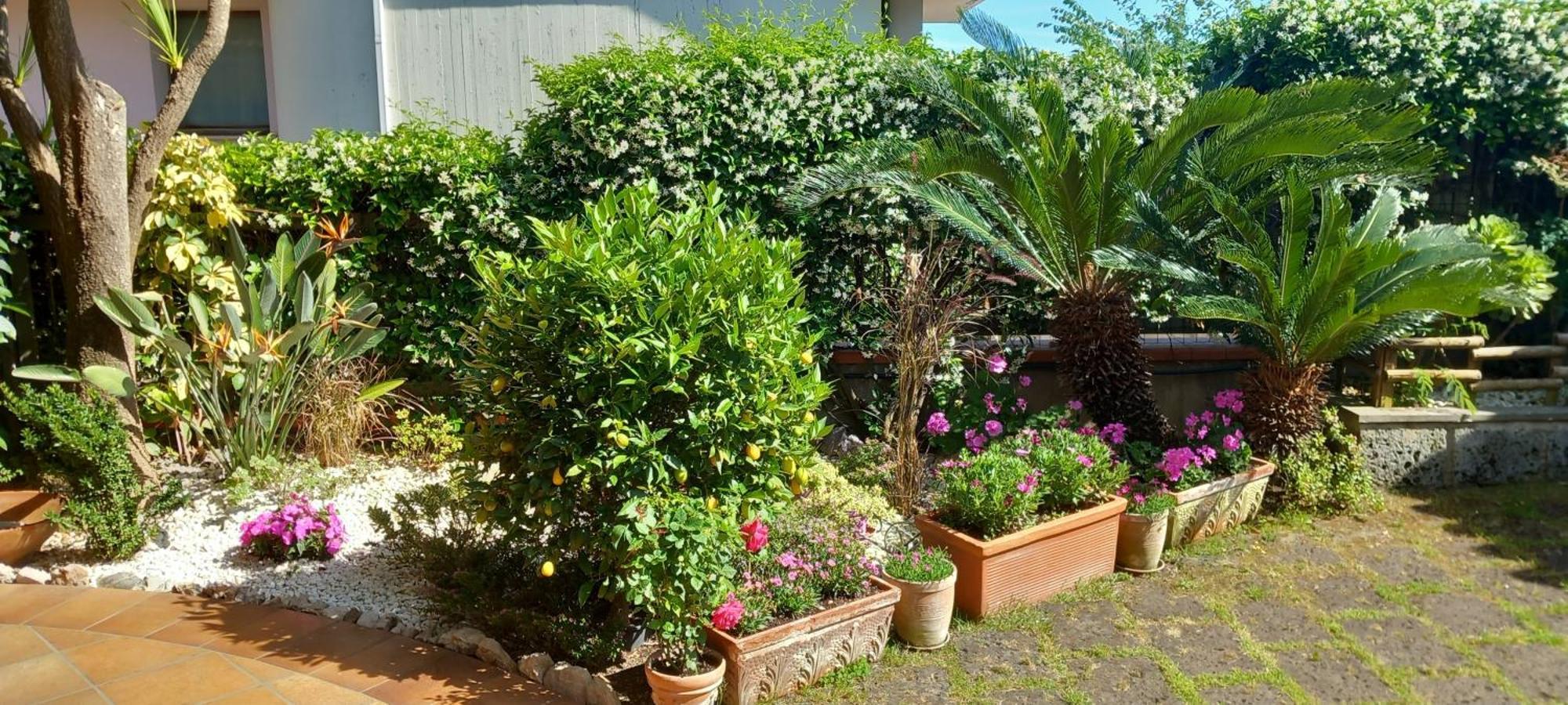 فورميا B&B Villa Noemi المظهر الخارجي الصورة
